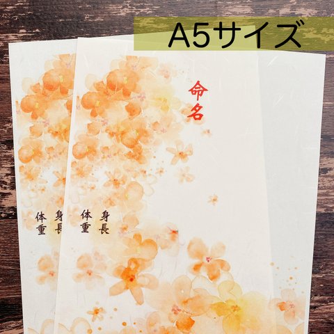 選べる12色✨ 命名書  水彩桜 (用紙のみ) 