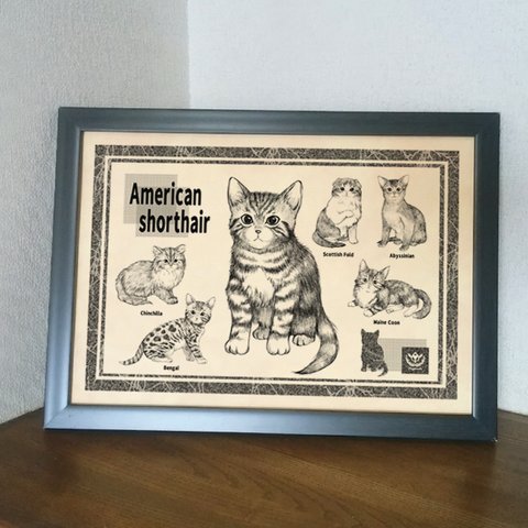 アメショーの子猫のポスター