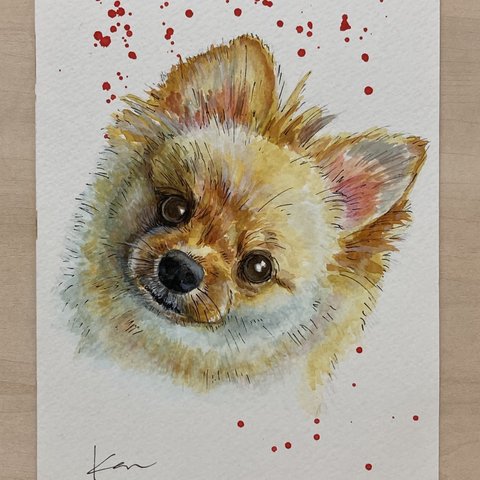 オーダーメイド　サンプル　犬の絵　ポメラニアン　水彩画