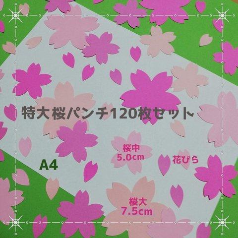 ■120枚　特大さくらパンチ■画用紙クラフトパンチ桜壁面飾り壁画春2月3月4月保育園高齢者デイサービス製作制作さくらアルバム整理卒業式入学式卒園式入園式グループホームデイサービス病院写真工作桜吹雪