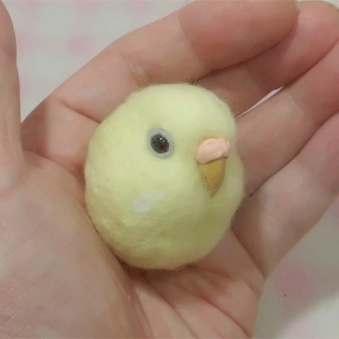 セキセイインコ  プリン色ルチノ－（濃い赤目）☆マグネット/ブローチ どちらか選択    羊毛の小鳥   受注作成　オーダー可能