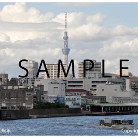 はがきサイズの写真：東京港 開港70周年  海から見るスカイツリー POSTCARD