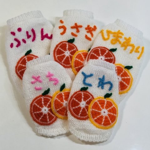 🍊フルーツセーター🍉(ミカン&スイカ&キューイ)