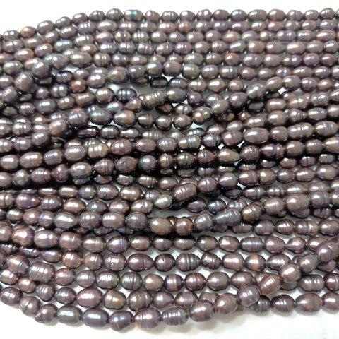 淡水真珠　ライス　6.5-7.5mm　サークル　染めブラウン系　連