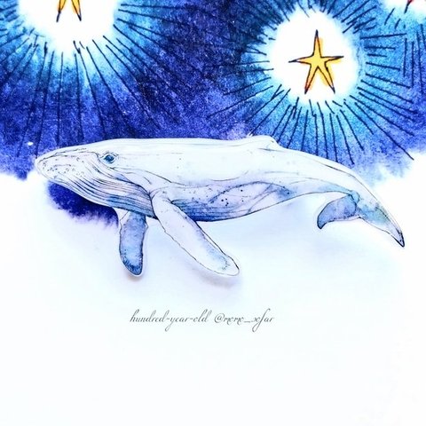 「白鯨」ﾌﾞﾛｰﾁ
