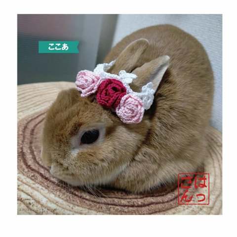 うさぎ用🐰ミニ巻き薔薇付きティアラ