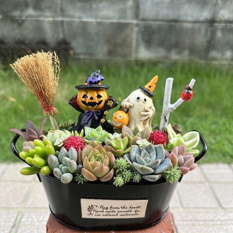 ★再販★送料無料★そのまま飾れる♡ハロウィンの多肉植物寄せ植え╰(*´︶`*)╯♡