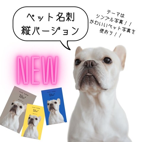 [お急ぎのお客様へ速達便専用] ペット名刺　1セット30枚