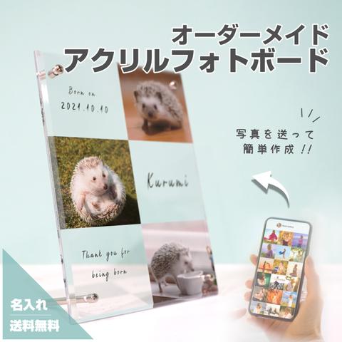 アクリルフォトボード B15 ペット オリジナルグッズ 犬 猫 インスタ ハムスター うさぎ フェレット スローロリス ペットグッズ プレゼント 恋愛 オリジナルグッズ 写真 ギフト 名入れ 文字入れ