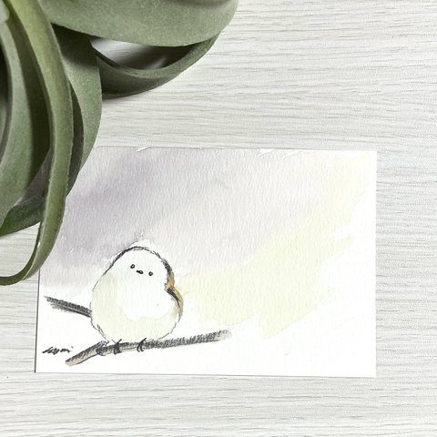 シマエナガの絵はがき【水彩画原画】