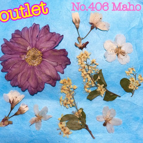 ♡outlet♡押し花素材♡シュウメイギク、桜など♡