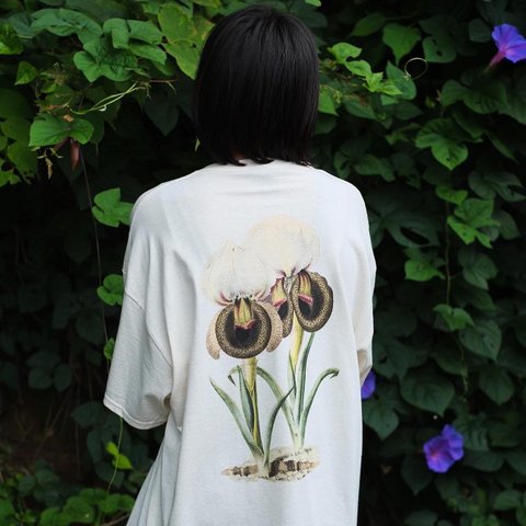 蘭(白)のTシャツ/ロンT