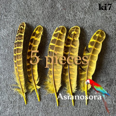 【ki7 黄色】5枚キジ 鳥の羽根 フェザー 素材 パーツ