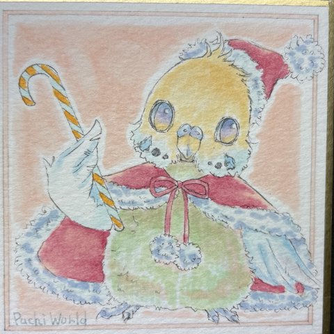 手描きイラスト★クリスマスセキセイインコ●豆色紙