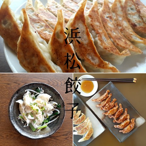 浜松餃子　入来の冷凍生餃子96個入り(12ヶ入×8袋)