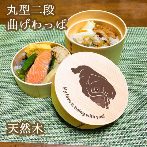 【 パグ 】 丸型 二段 白木 曲げわっぱ 弁当箱 動物 ペット ランチボックス わっぱ 木製 天然木