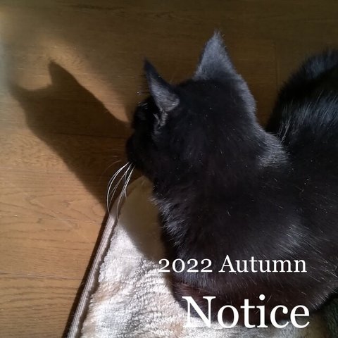 Notice ✳︎お知らせ2022