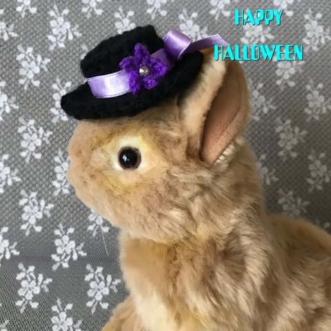 ウサギのハロウィンの帽子