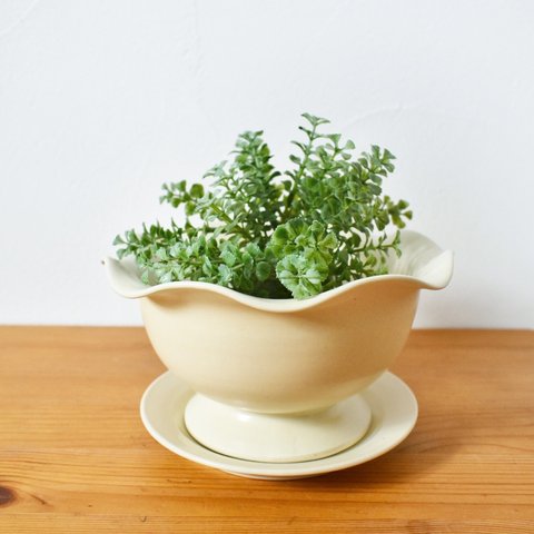 フリルの植木鉢　(クリームマット)