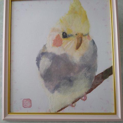 オカメインコ　パイド　【ちぎり絵】