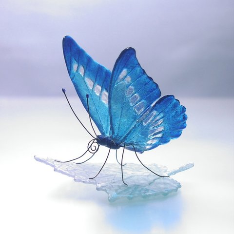 ガラスの蝶 モルフォ on リーフ
