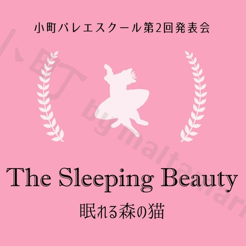 眠れる森の猫 パンフレット