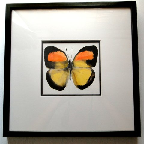 黄色い蝶の水彩絵画 アート 原画 額装 昆虫画　
