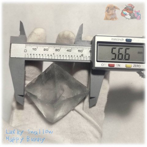 ◆ 大きい フローライト八面体 結晶 蛍石 原石 No.5281