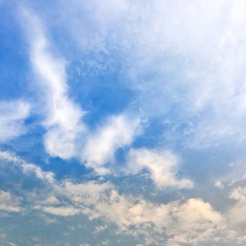 龍雲の写真