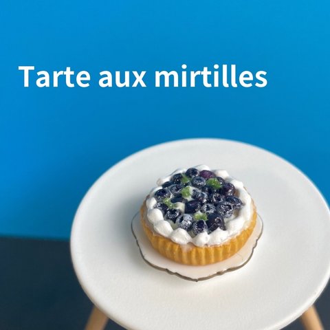 ブルーベリーのミニチュアタルト🥧🫐No.250