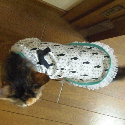 猫模様のドレス