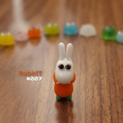 rabbit#007