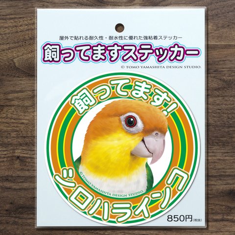  シロハラインコ 飼ってますステッカー