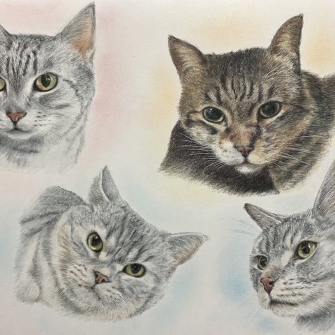 ペットの似顔絵　オーダーメイド　ねこ　いぬ　肖像画　ポートレート　イラストオーダー　プレゼント　うちの子