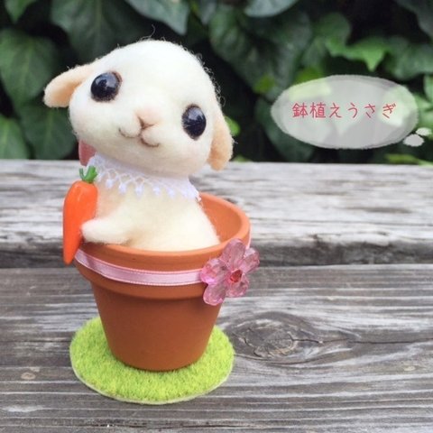 鉢植えうさぎ