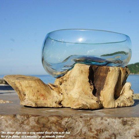 吹きガラスと天然木のオブジェB20 金魚鉢 メダカ 水槽 アクアリウム テラリウム コケリウム 花瓶 流木ガラス