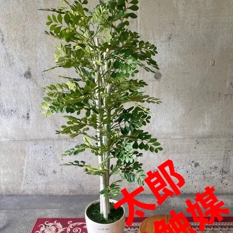 光触媒　人工観葉植物　ウォールグリーン　フェイクグリーン　トネリコ11555