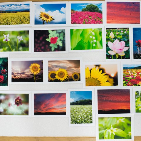 Lサイズの写真・花と風景色々26枚セット(L011)