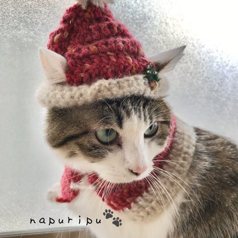 ねこちゃんキラキラサンタ帽とケープセット（もみの木の刺繍付き）