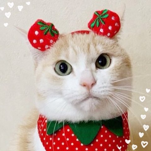 送料無料☆彡W苺いちごイチゴカチューシャ〜猫のカチューシャ