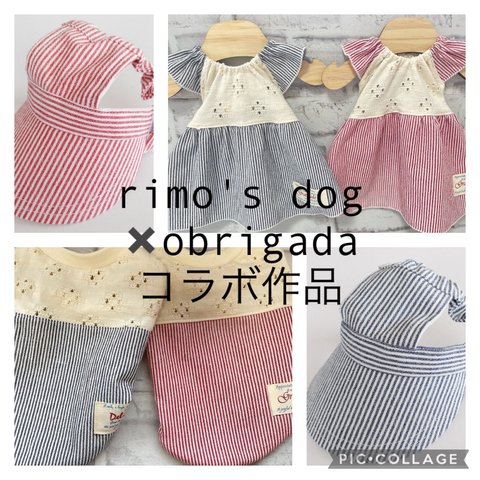 犬服　コラボ　　ワンピース　とタンクトップ