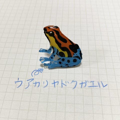 ウアカリヤドクガエルのピンバッチ