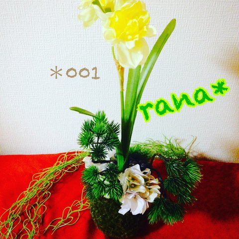 【rana*】水仙の苔玉アレンジ