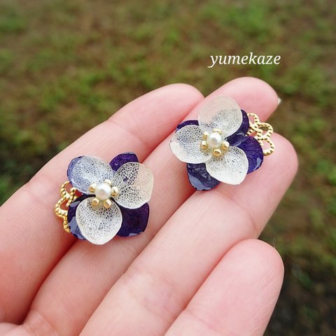 紫陽花❇️ドライフラワー レジン ピアス❤️