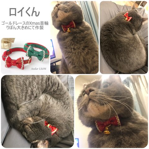 お客さまの愛猫ちゃんギャラリー