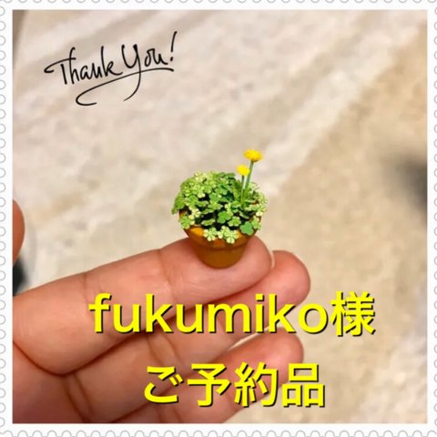 🍀ミニミニ鉢植えクローバーとタンポポ☘