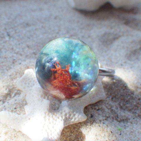 Seascape  Ring T