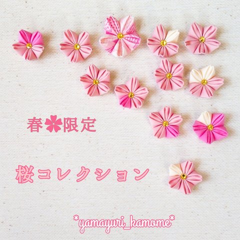 つまみ細工‪✿春の桜コレクション コットン素材 モチーフ