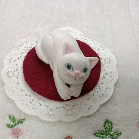 しろねこちゃん♪