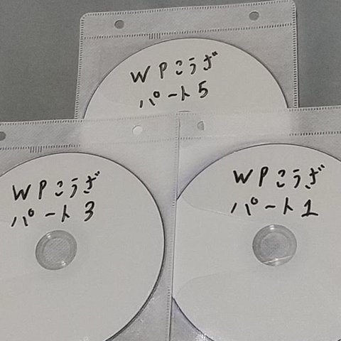 【ＤＶＤ送料無料】WordPress&ブログ構築マスター講座Vol２